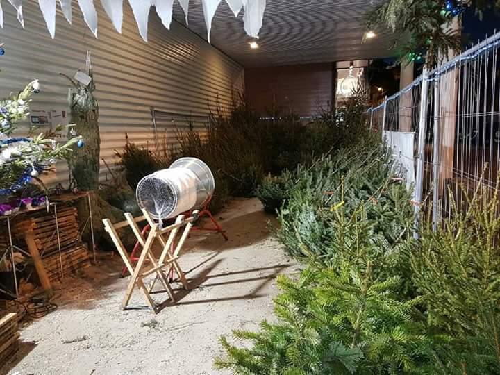 Sapins de Noël en train d'être vendus