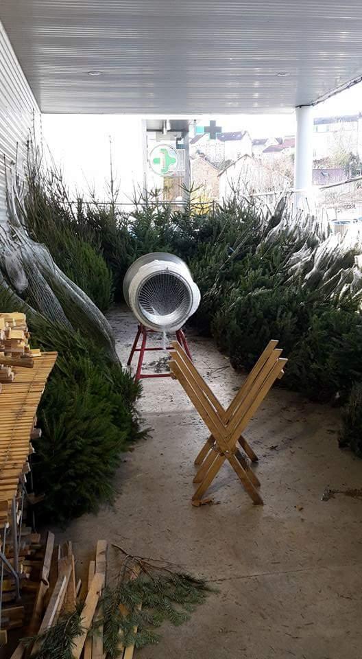 Sapins emballés et nus