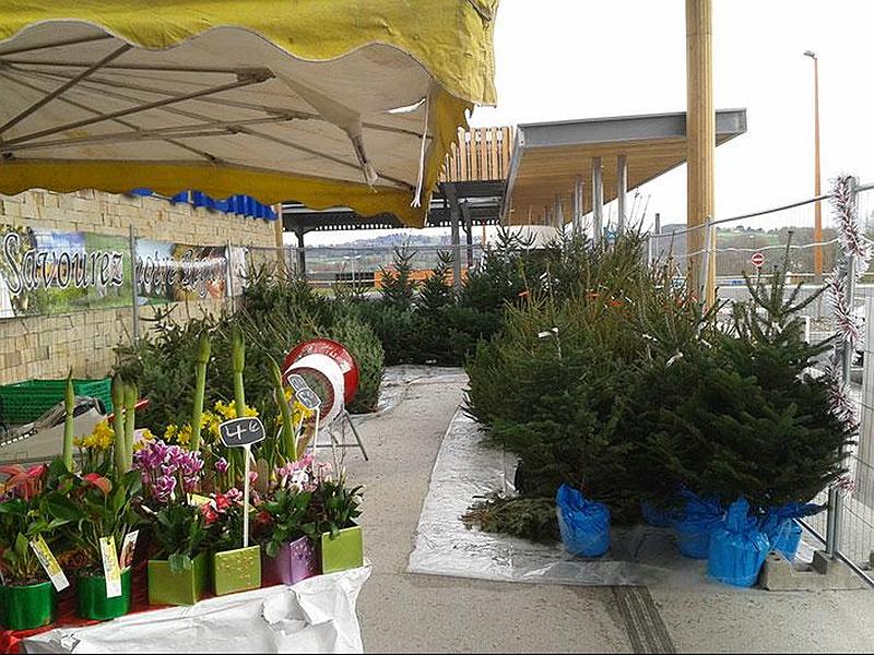 Stand de sapins et de végétaux