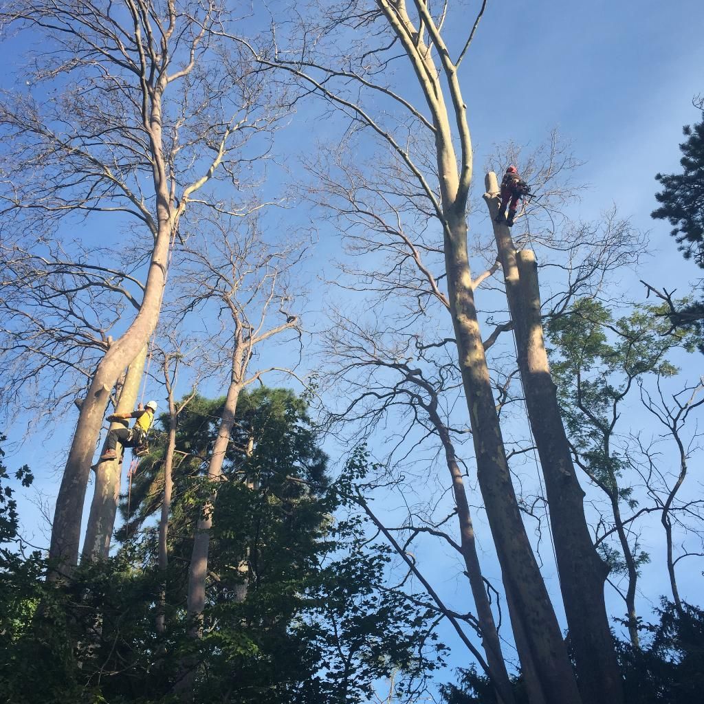Bois De Chauffage Pelissier Pernes Les Fontaines
