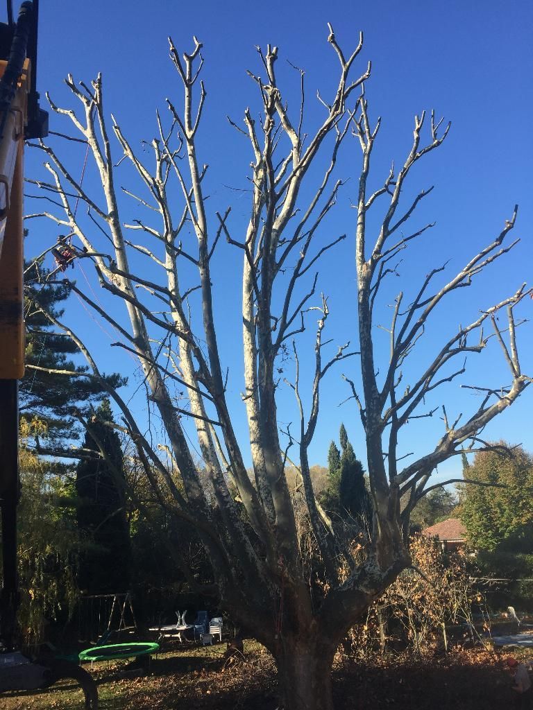 Bois De Chauffage Pelissier Pernes Les Fontaines