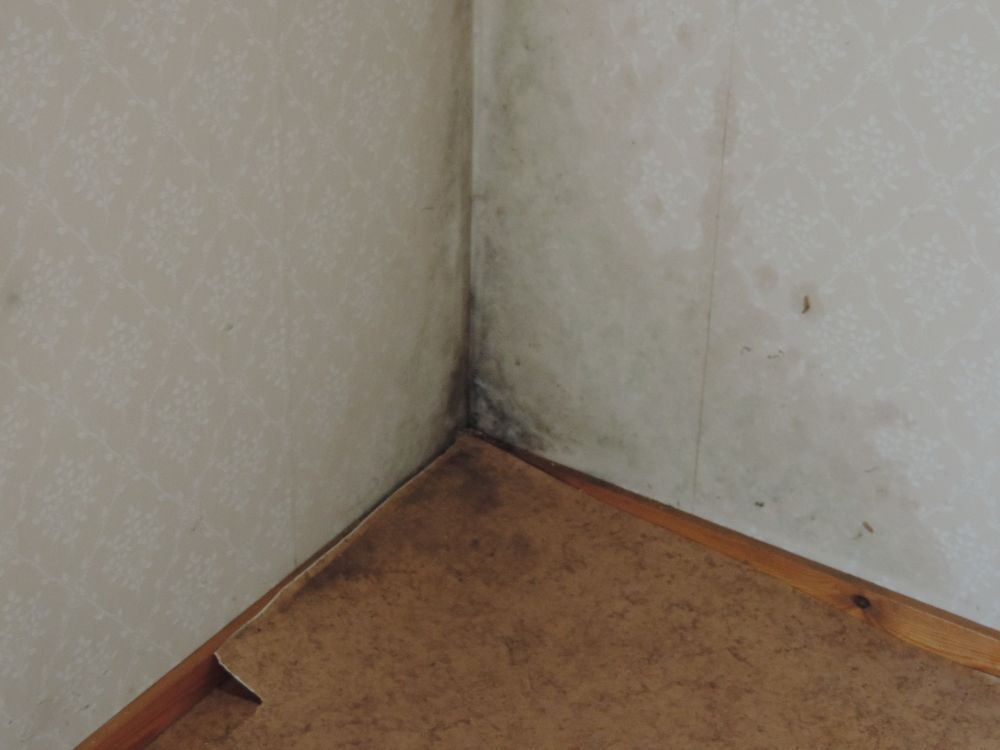 rsavalvontarsavalvonta