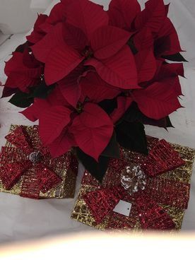Un ramo de flores de Pascua rojas sobre una mesa junto a un par de regalos.