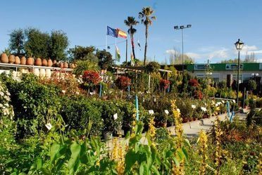 Un jardín lleno de muchas plantas y flores.