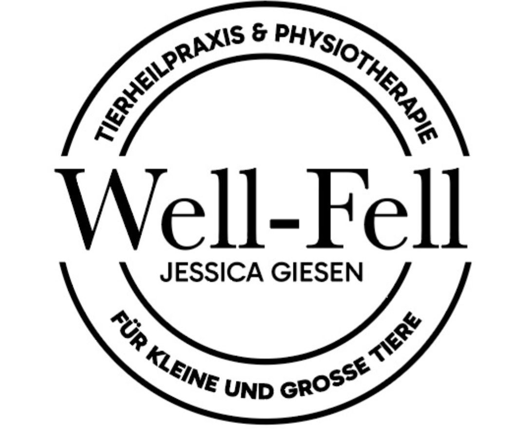 Ein weißer Hintergrund mit ein paar Linien darauf