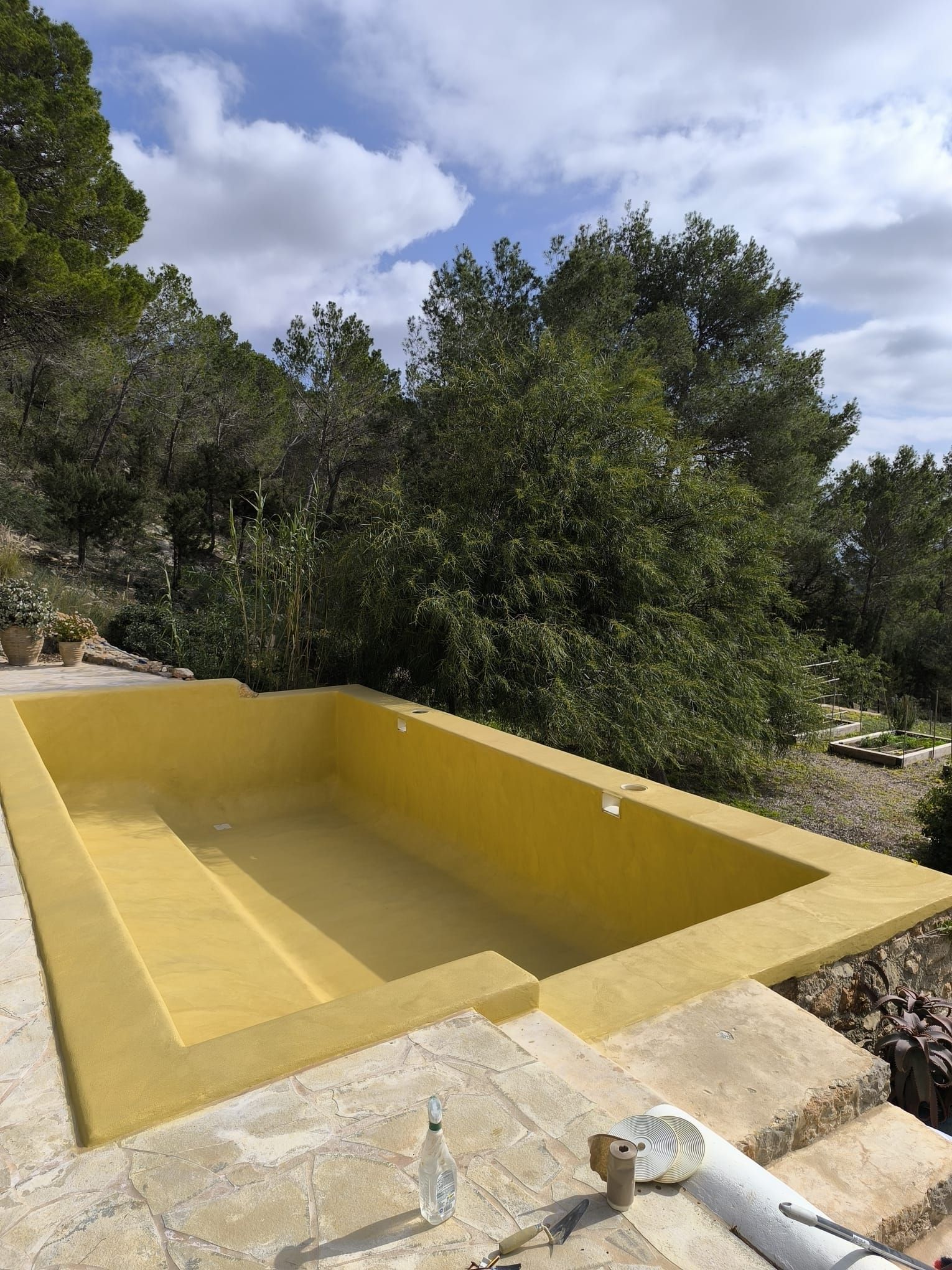 Piscina rectangular amarilla vacía, escalones de hormigón, frondosos árboles verdes, día soleado.