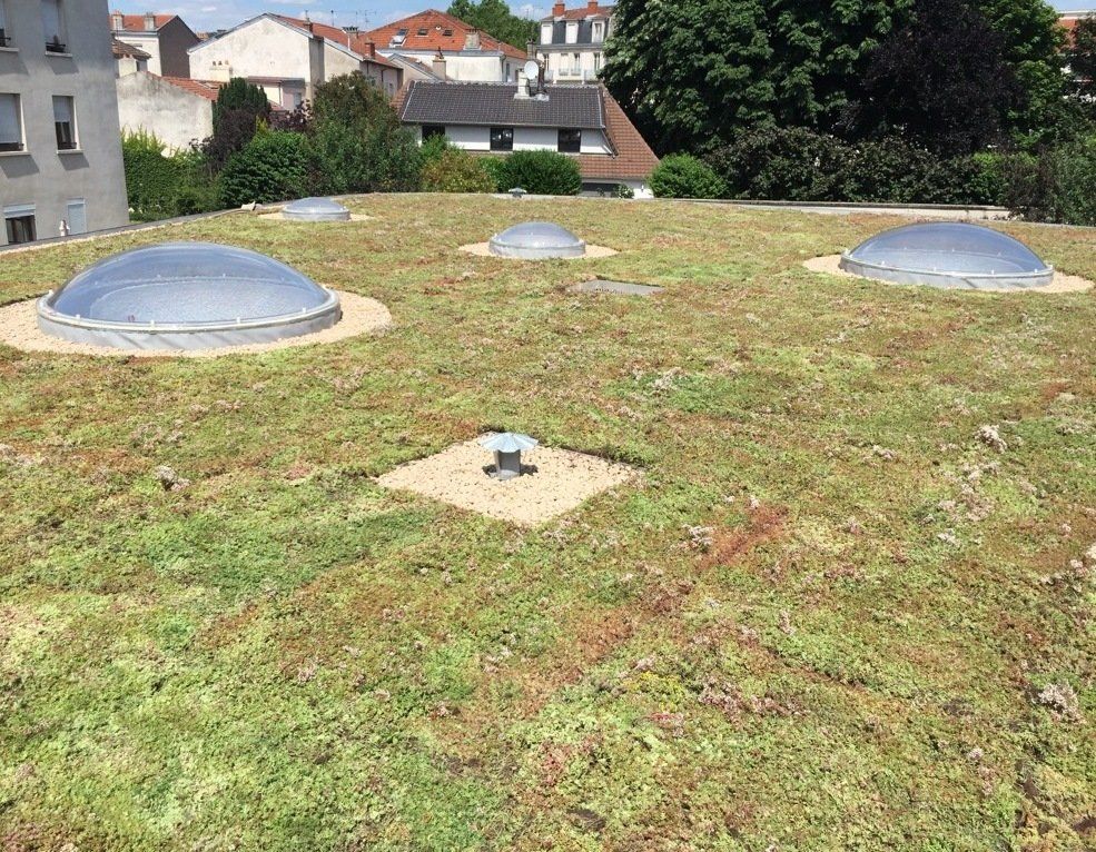 Livraison rapide de matériaux pour toiture végétalisée