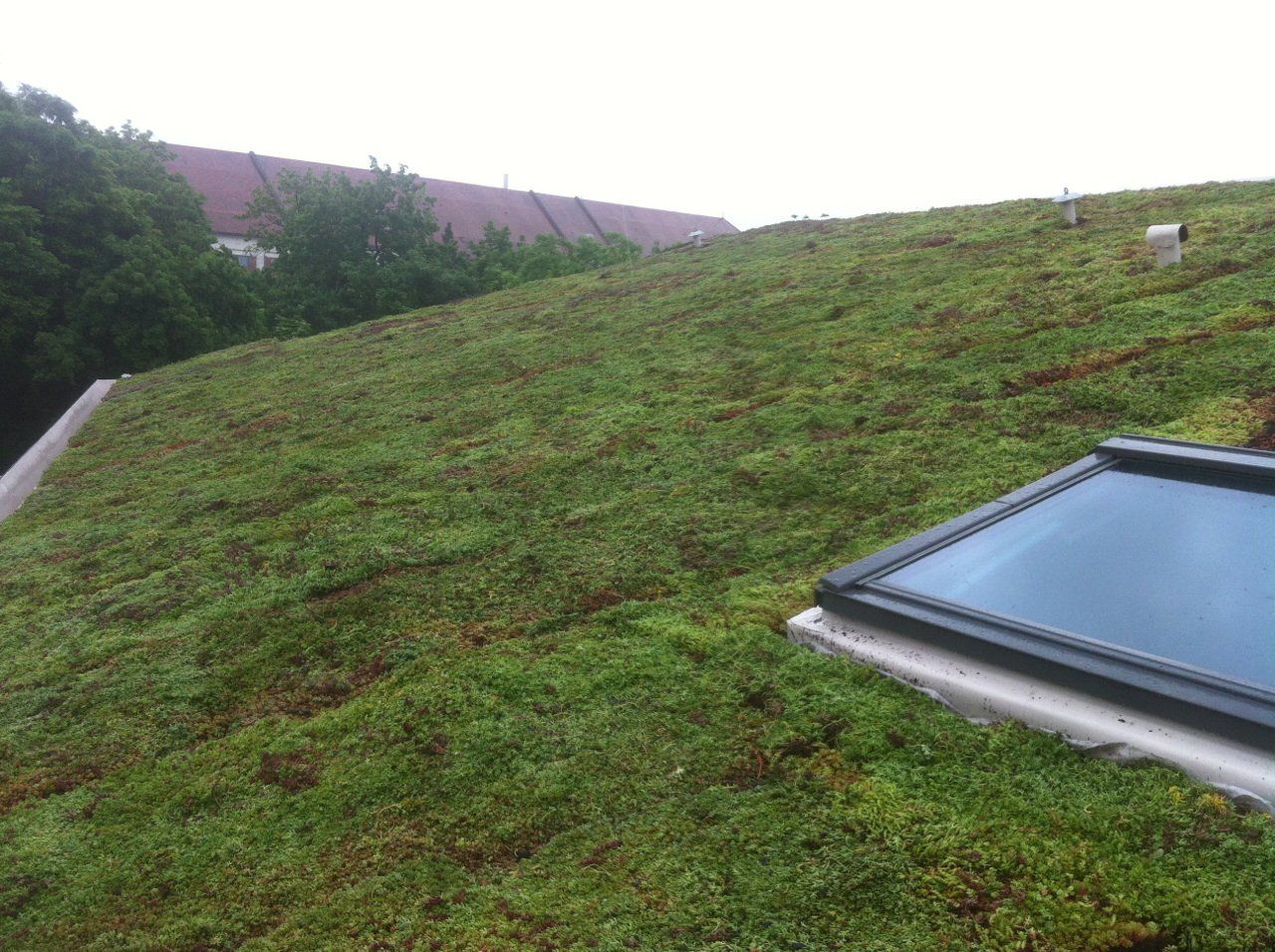 Vente de matériaux de toiture verte