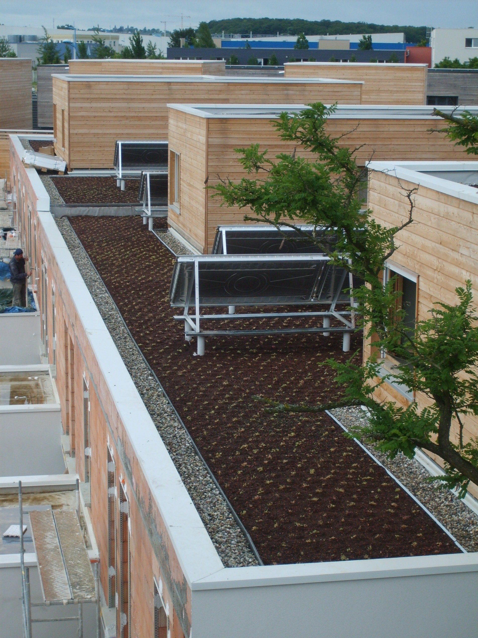 Matériaux pour toiture végétalisée