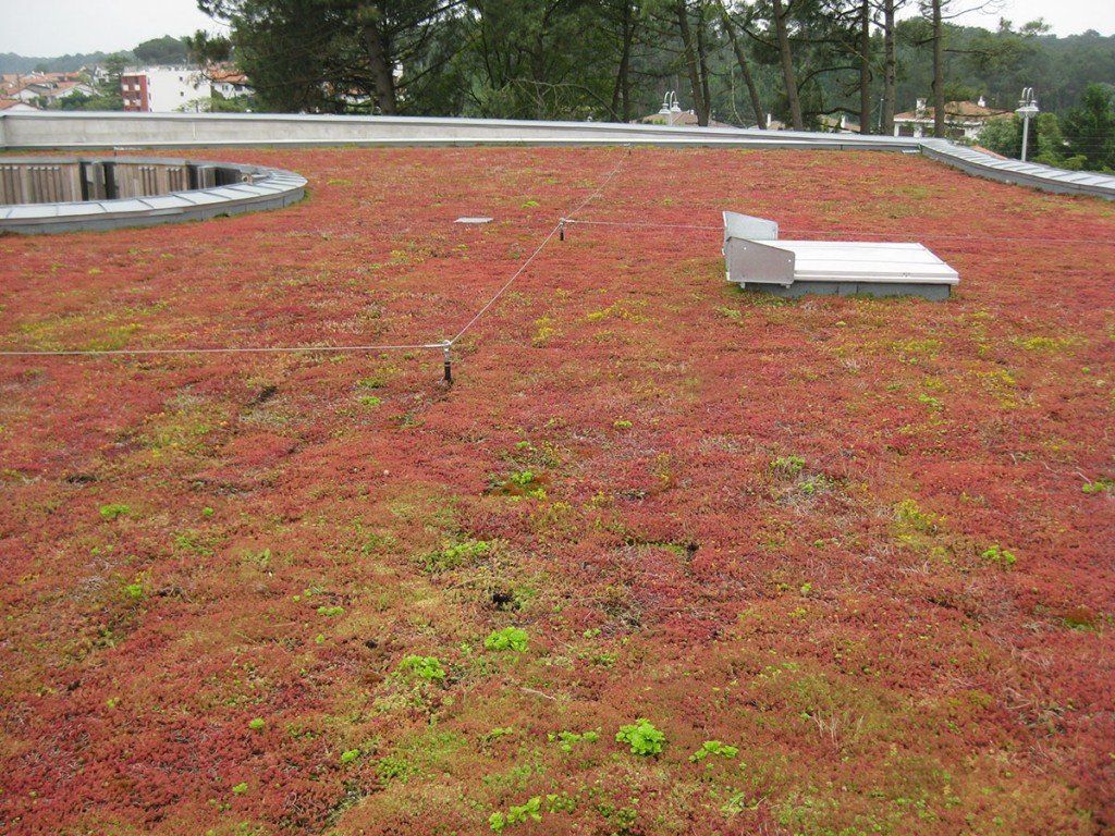 Vente de matériaux de toiture végétalisée