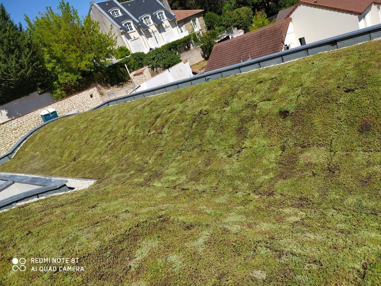 Natte pré-cultivée