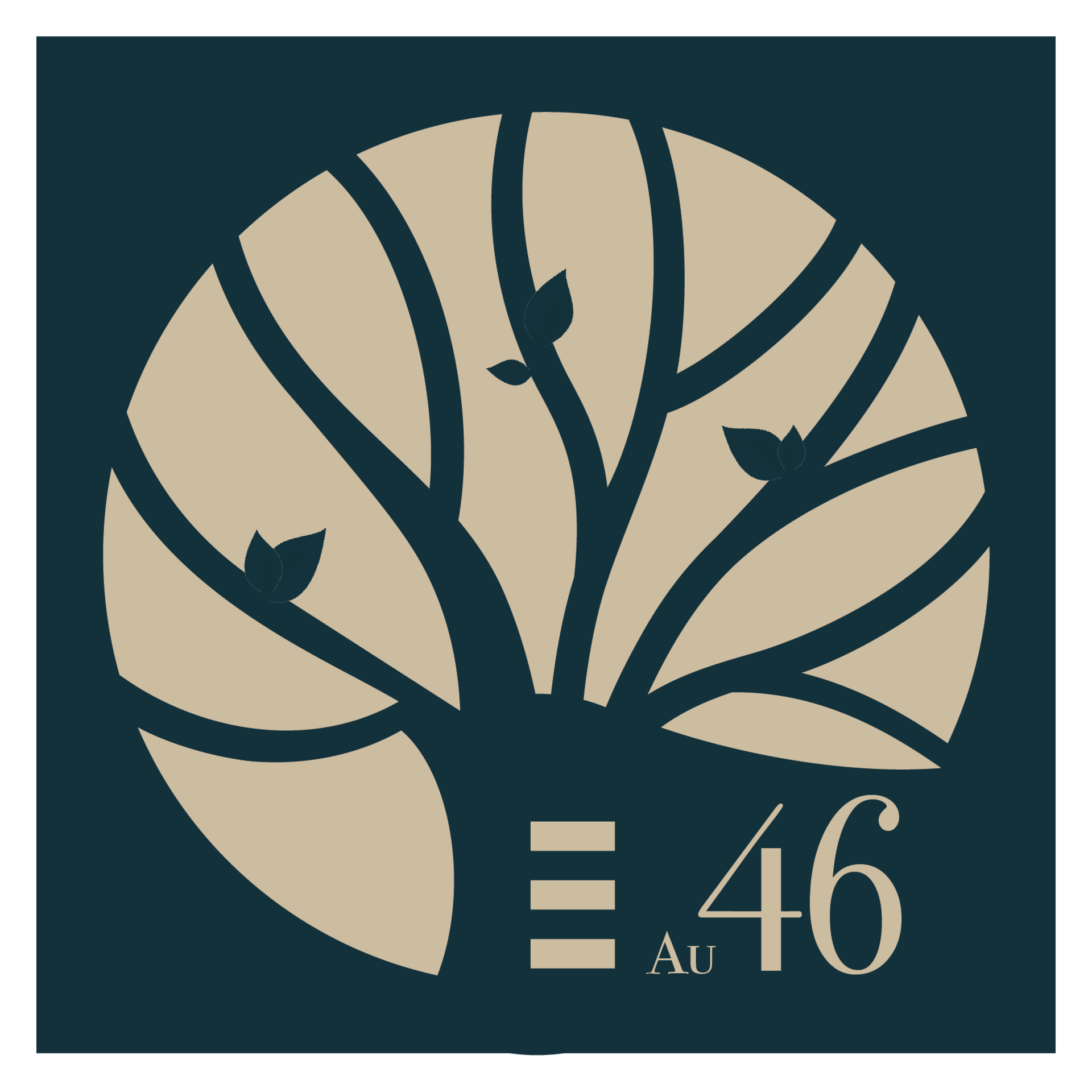 Logo Au 46