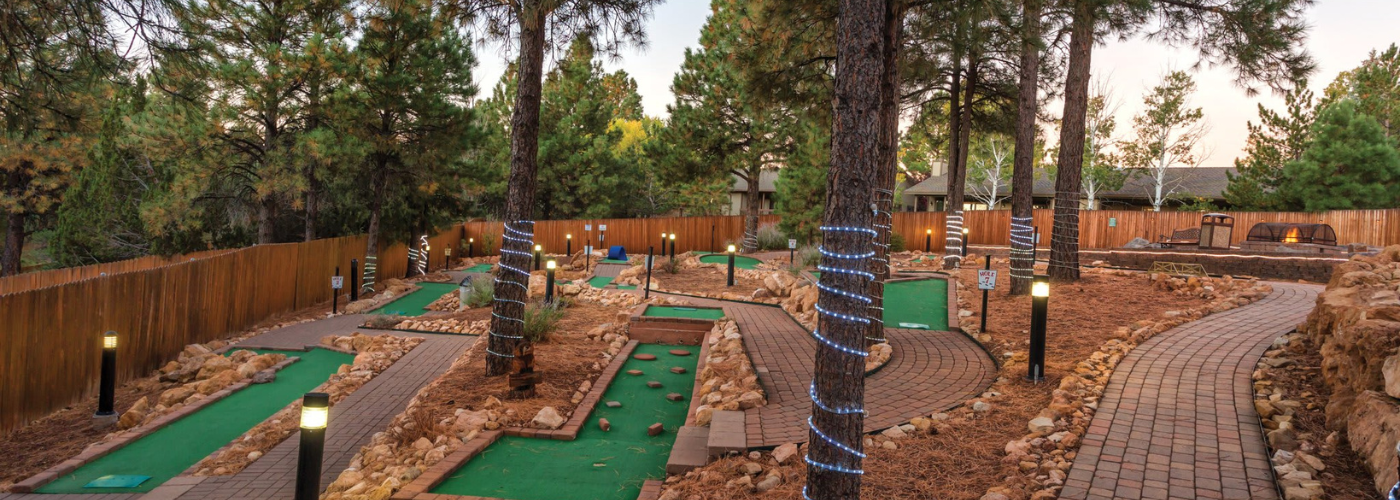 A mini golf course in the middle of a forest surrounded by trees.