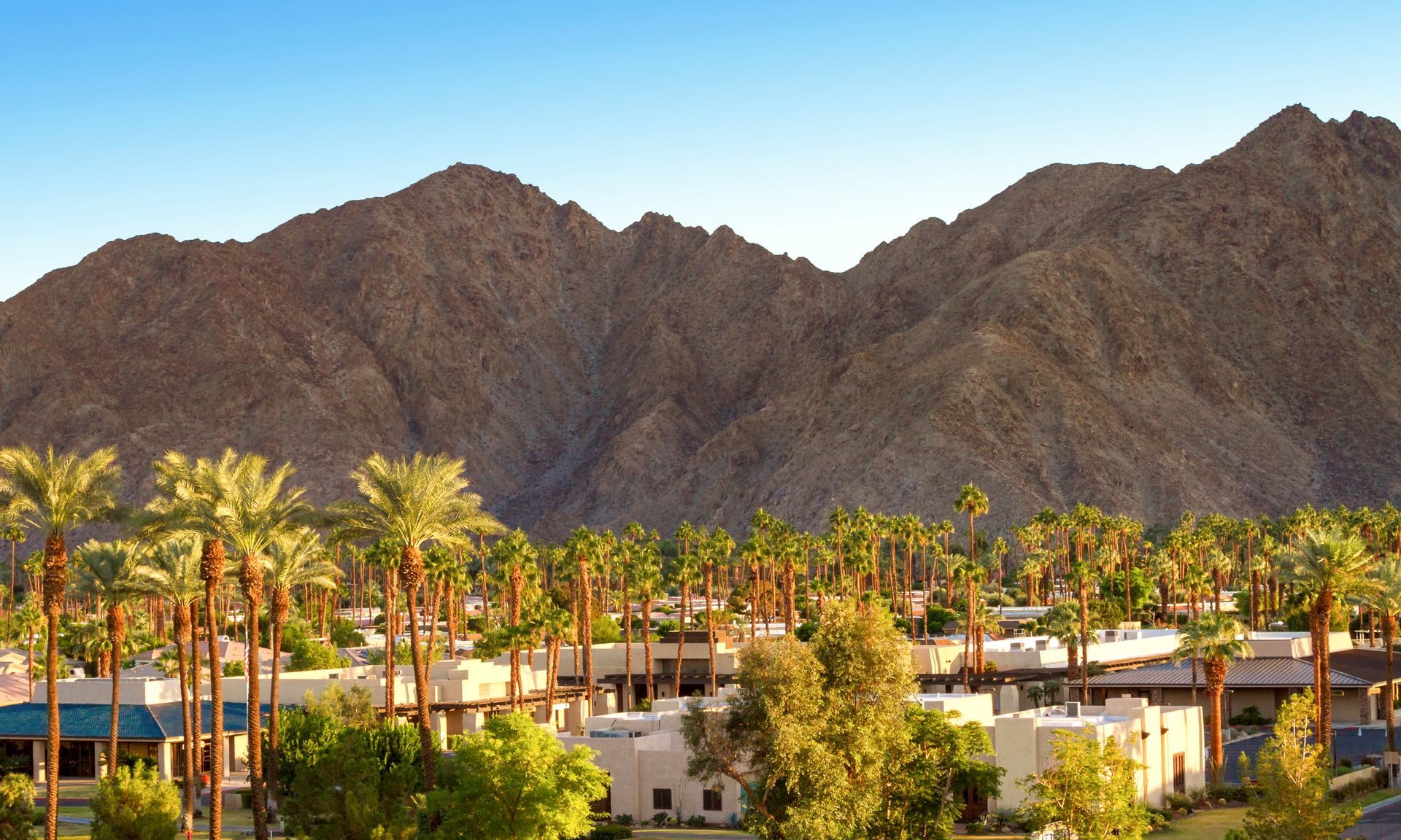 A city with palm trees and mountains in the background