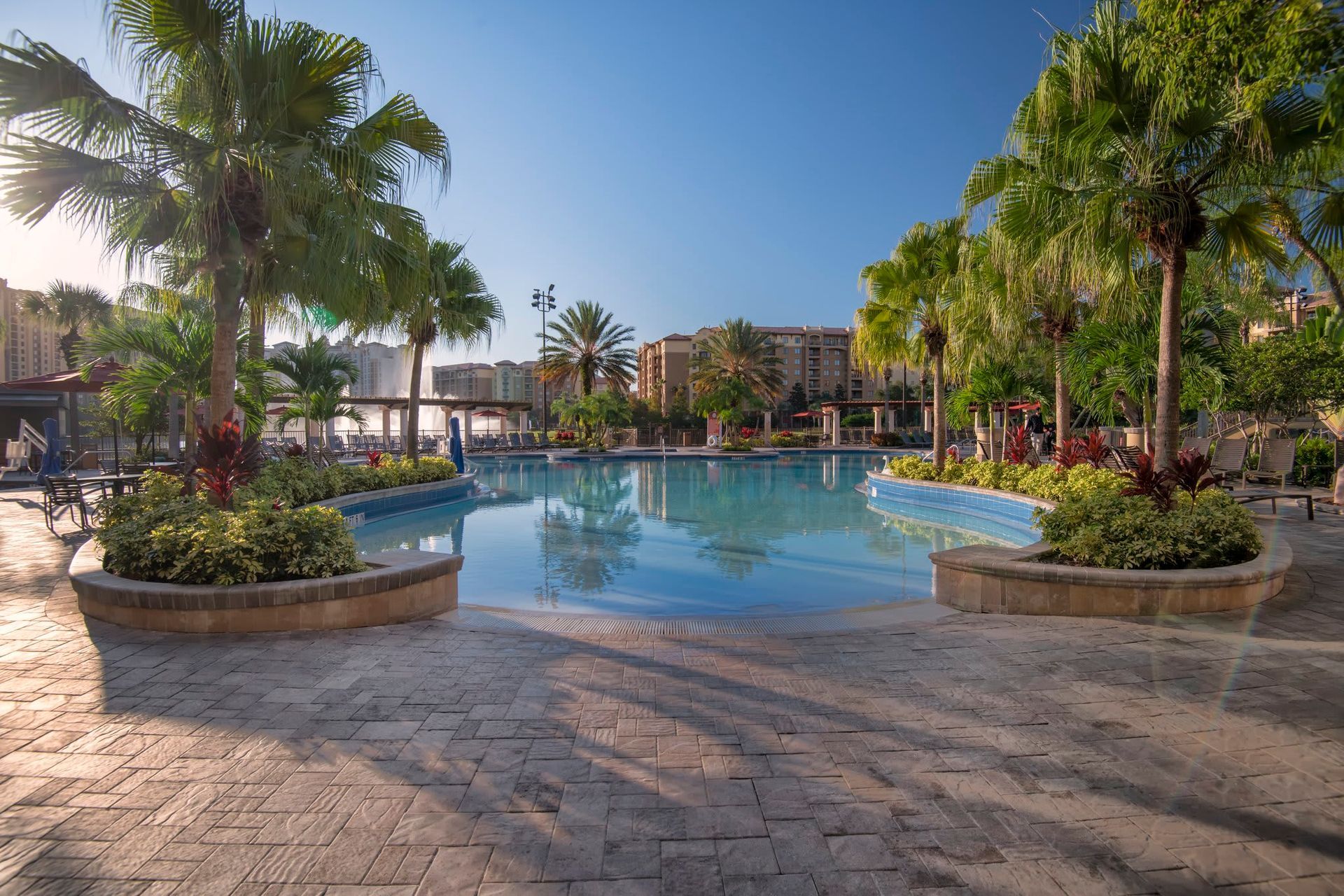 A large swimming pool surrounded by palm trees on a sunny day