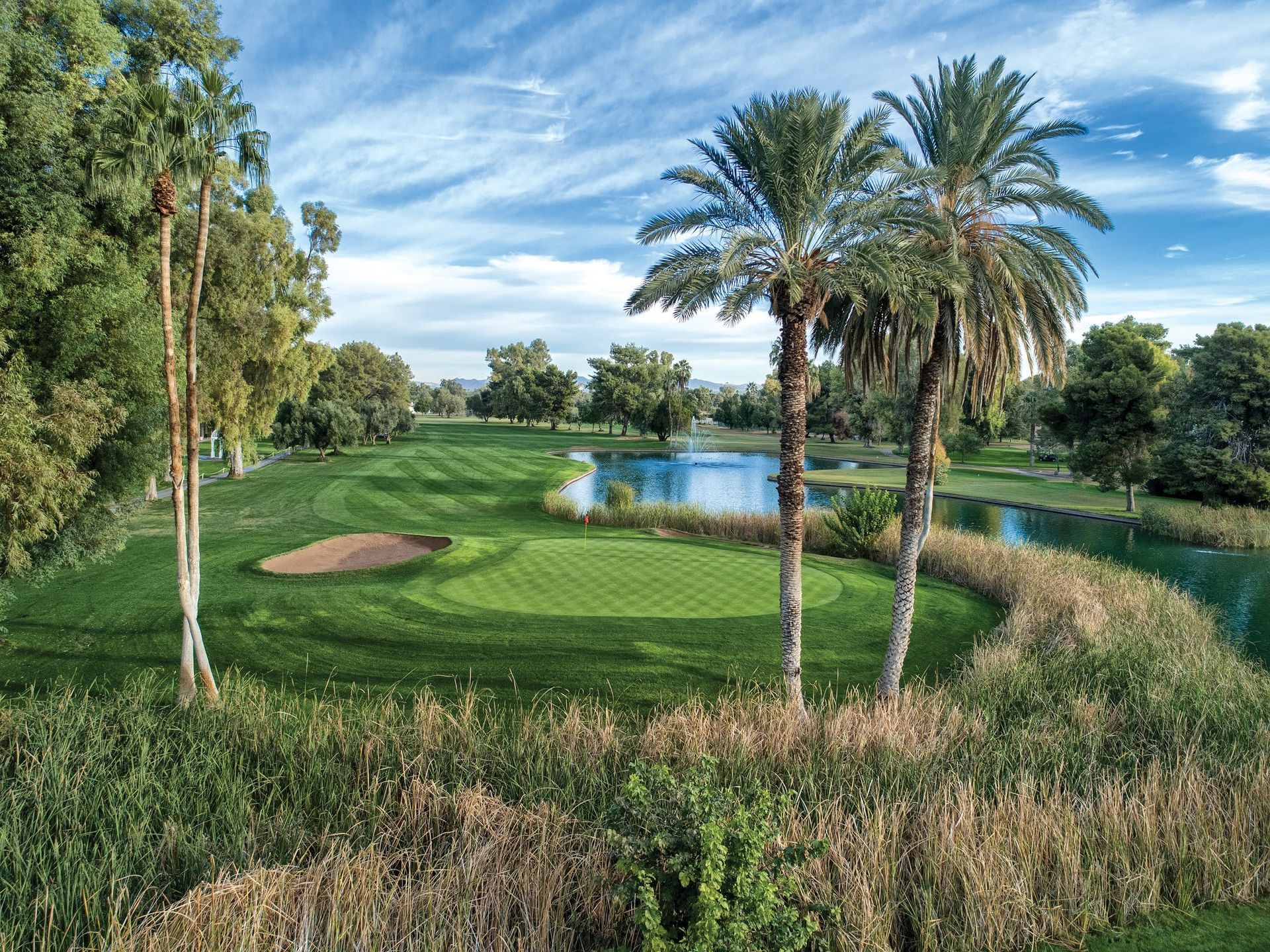 A golf course with palm trees and a lake in the background.