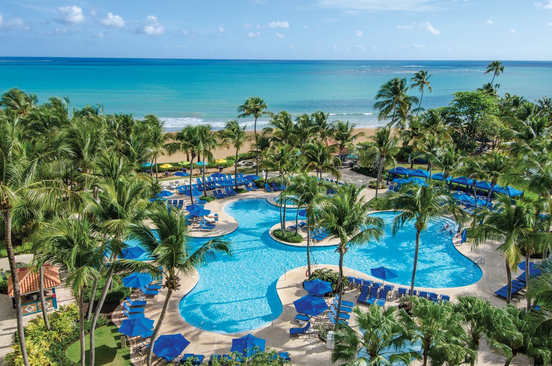 An aerial view of a large swimming pool surrounded by palm trees next to the ocean.