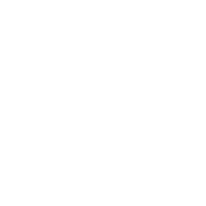 Icon Immobilien-Investments