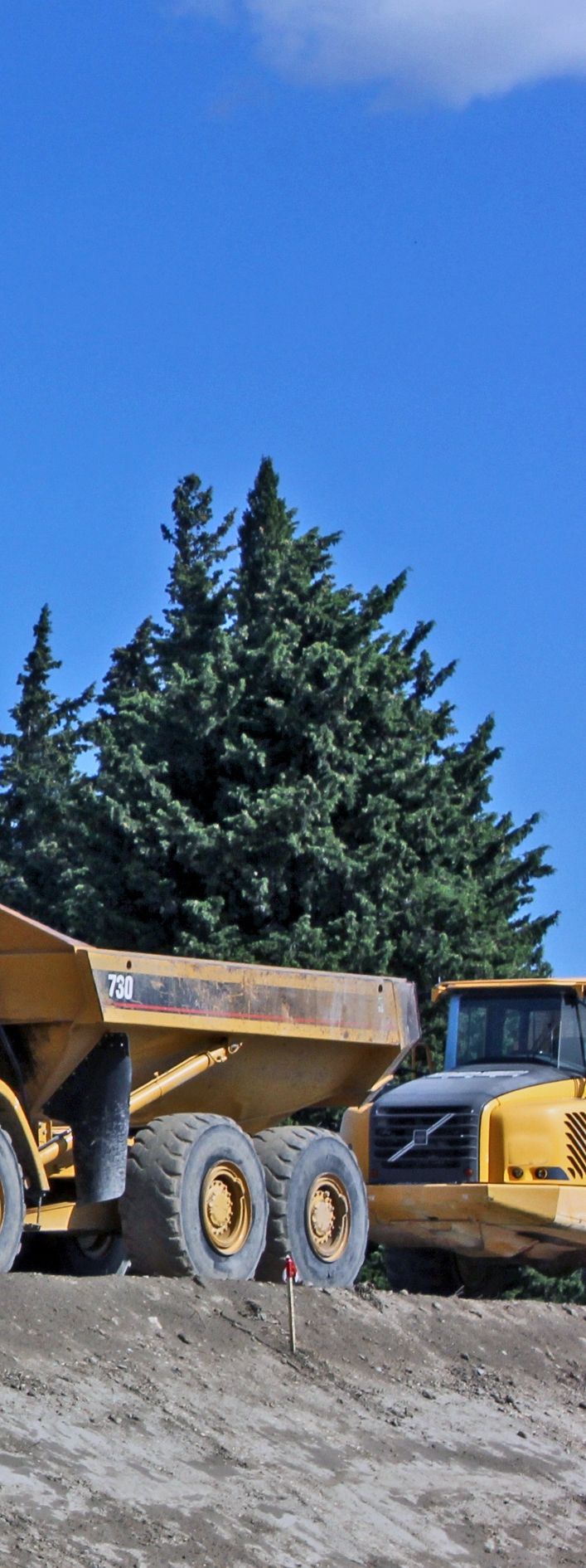 Des camions-bennes jaunes sur un chantier de construction, avec des arbres verts et un ciel bleu.