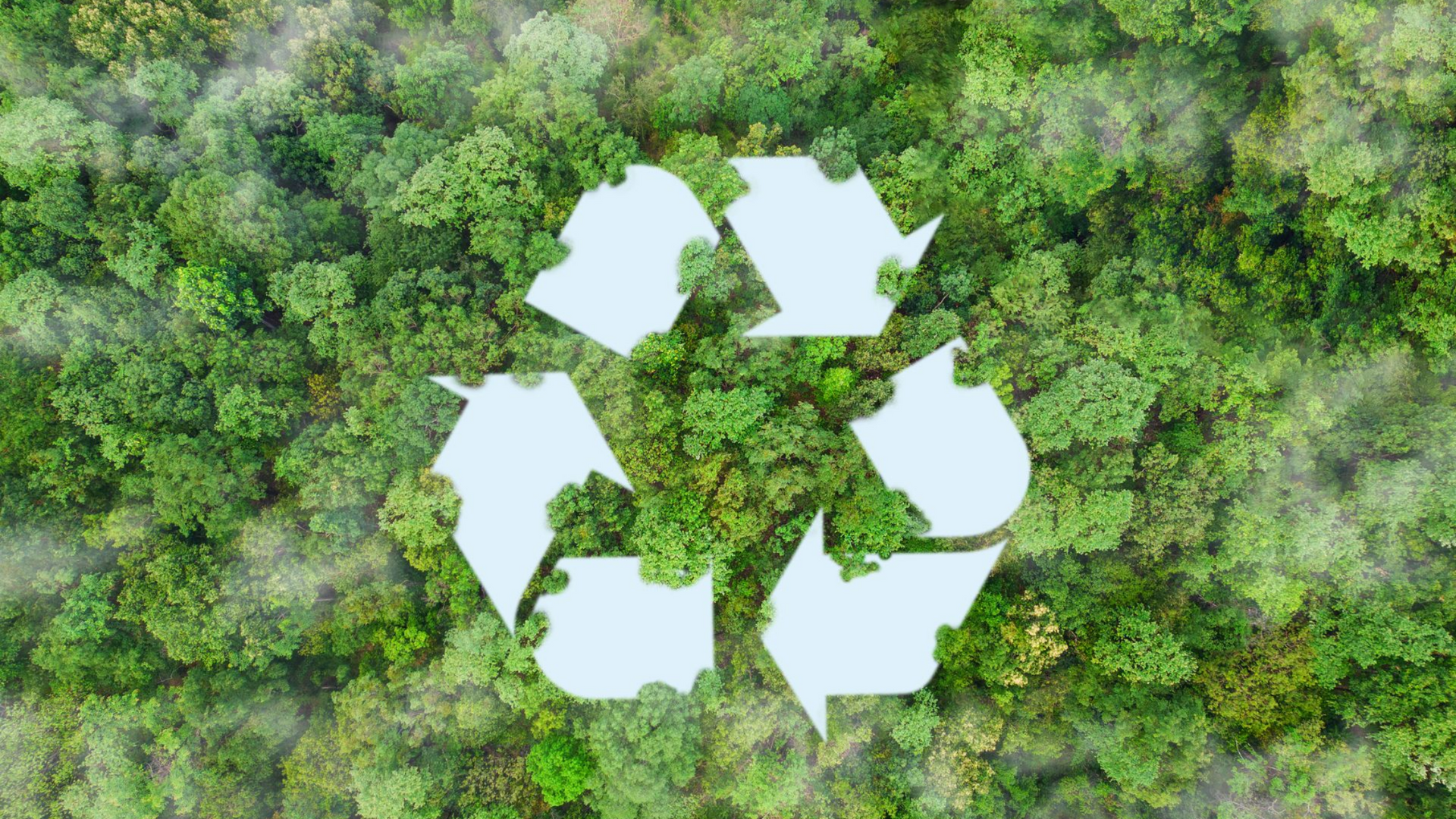 Symbole blanc de recyclage sur une forêt verte dense, représentant le développement durable