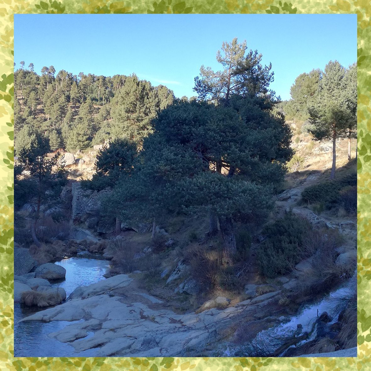 Una imagen de un río rodeado de árboles y rocas.