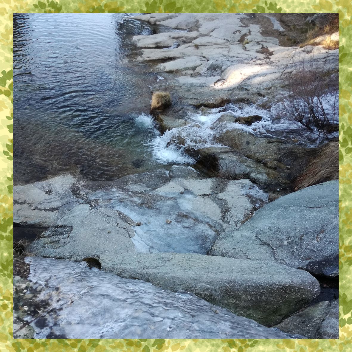 Una imagen de un río rodeado de rocas y hojas.