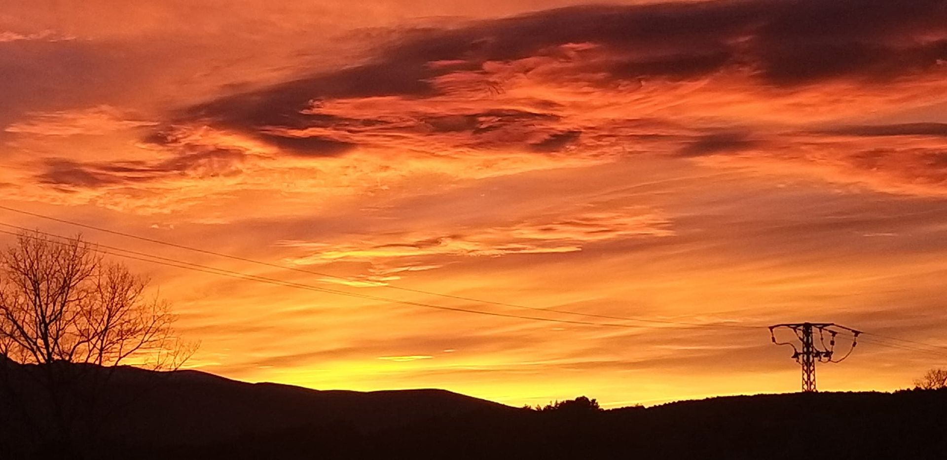 Una puesta de sol con un árbol en primer plano y un poste telefónico al fondo.