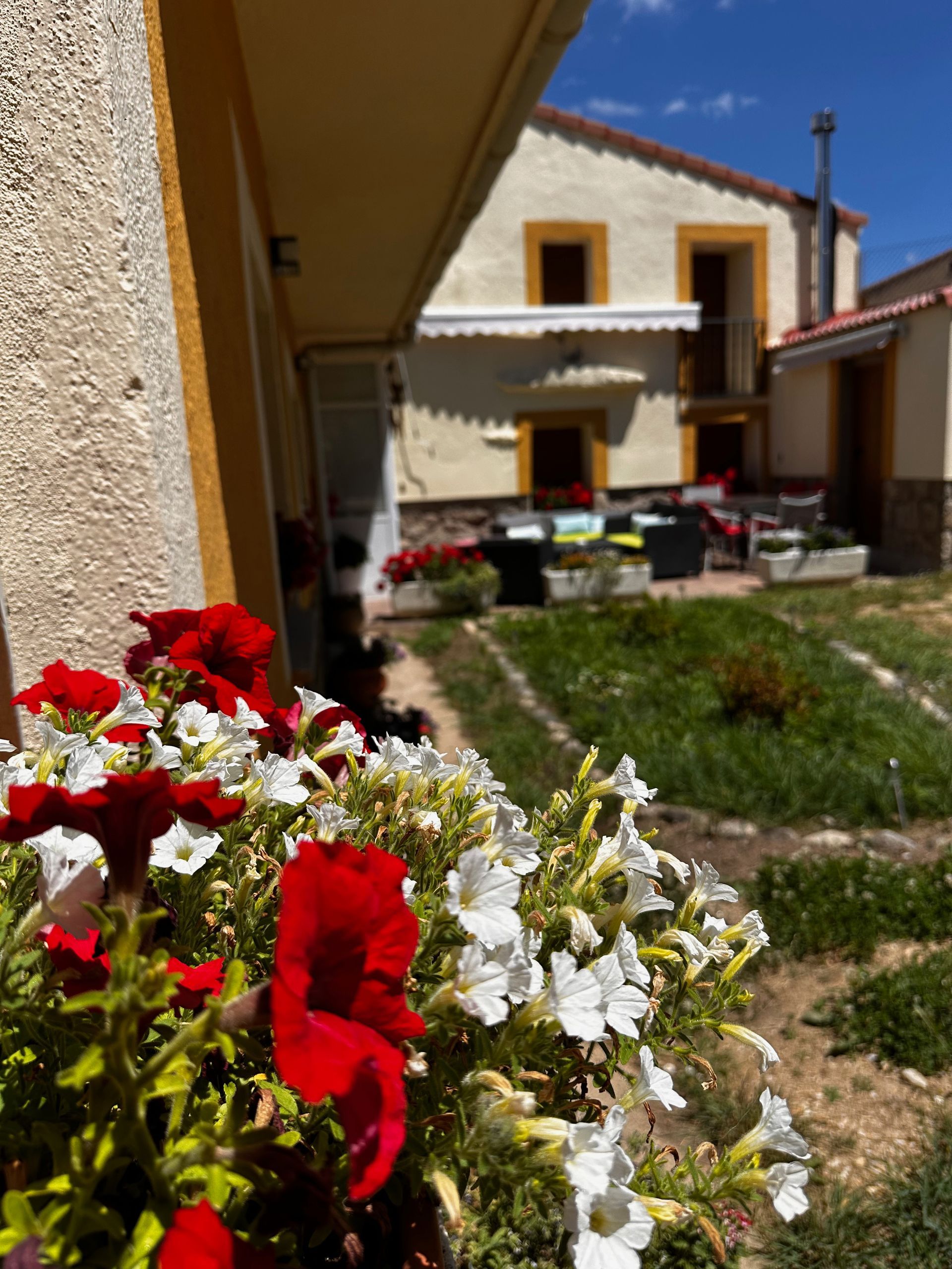 Un ramo de flores rojas y blancas está delante de una casa.