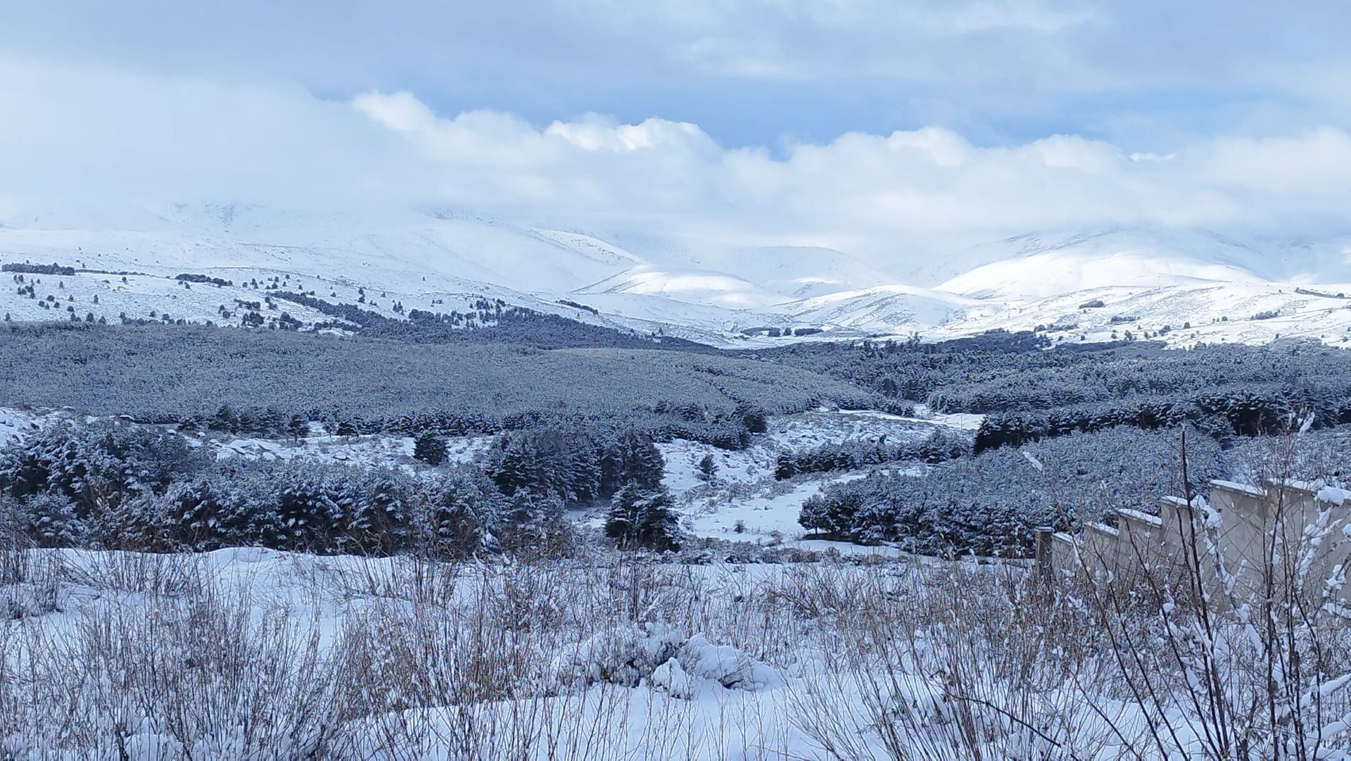 Un paisaje nevado con árboles y montañas al fondo.