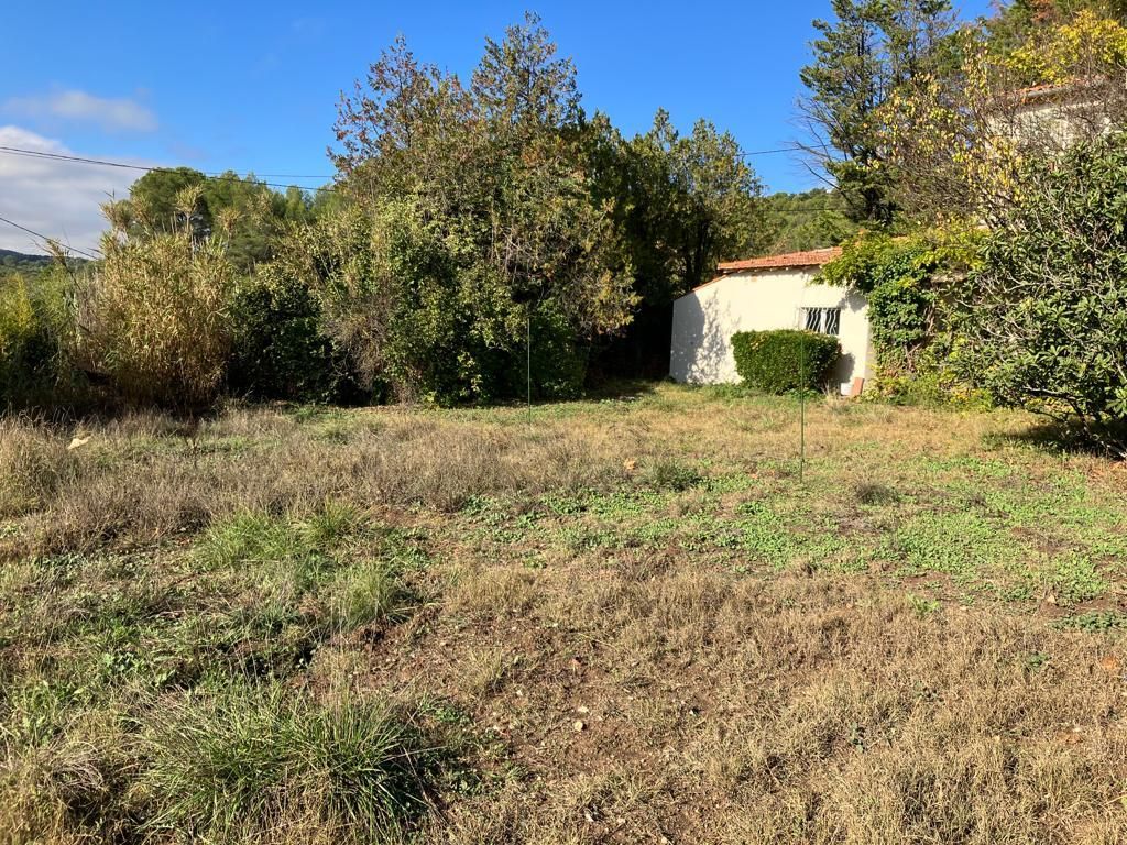 Photo d'une surface en herbe