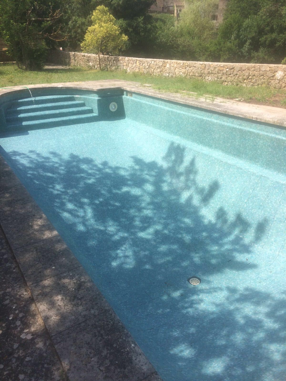 Photo d'une piscine vide nettoyée