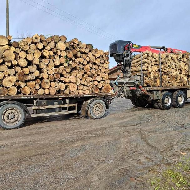 Un camión maderero transportando troncos por un camino fangoso bajo un cielo nublado.