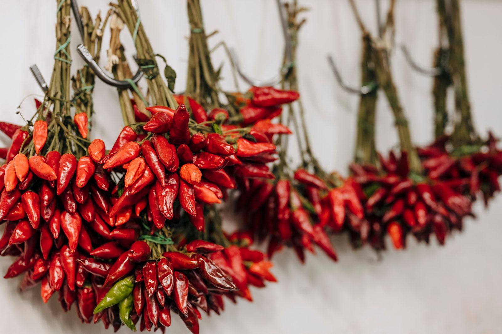 Ein Bündel roter Paprika hängt an einer Wand.