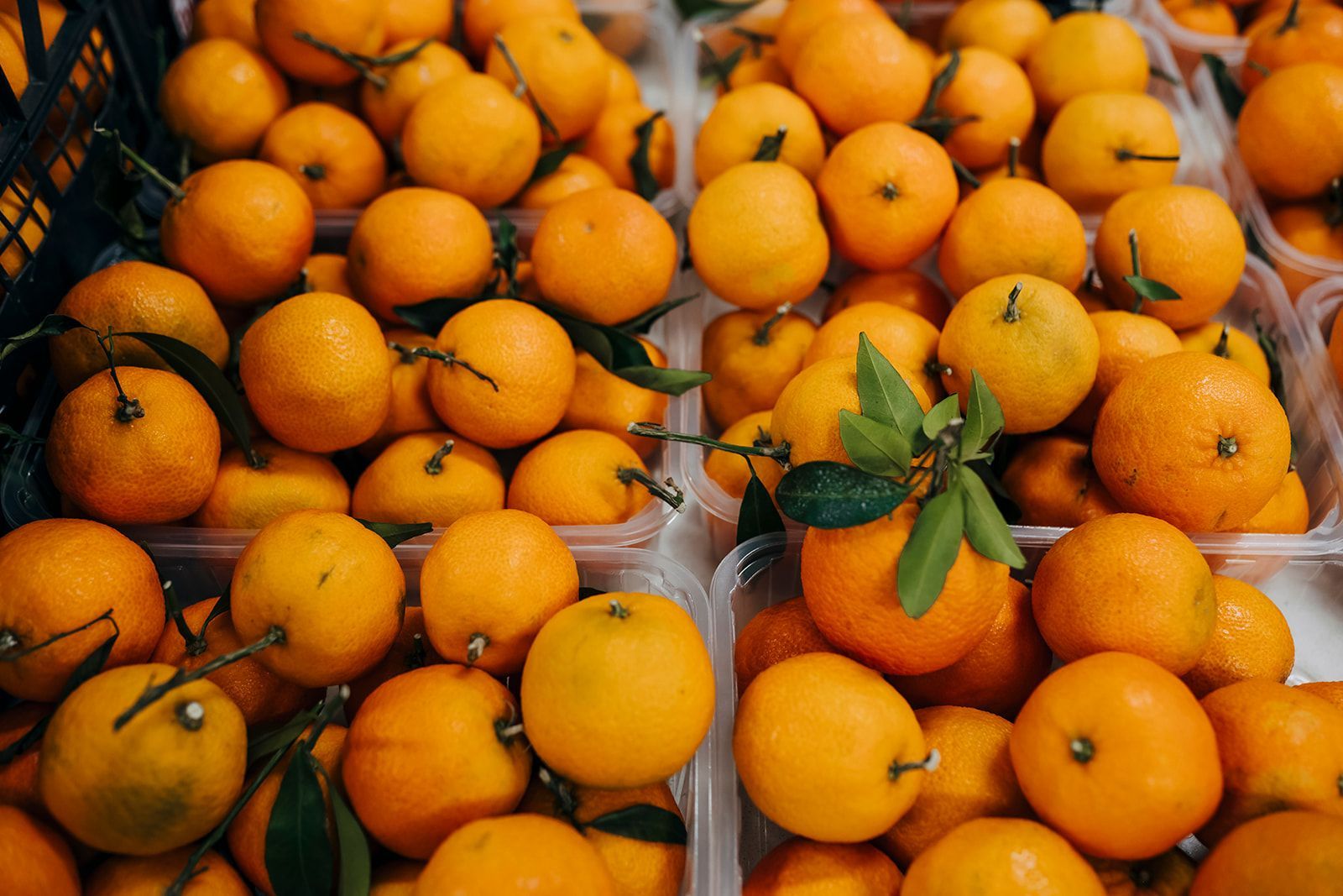 Ein Bündel Orangen mit Blättern in Plastikbehältern auf einem Tisch.