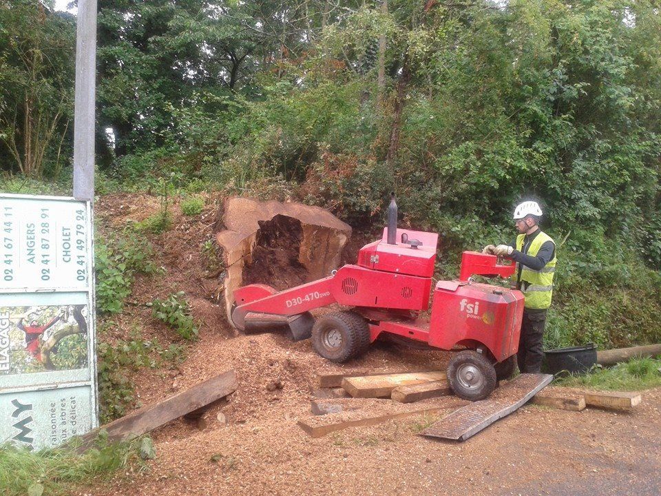 Une personne en train d'utiliser une machine qui rogne une souche d'arbre