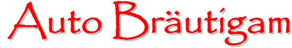 Auto Bräutigam