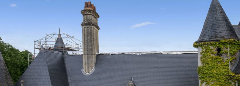 Toits de château en pierre recouverts d'ardoise, une haute cheminée et une tourelle couverte de lierre sous un ciel bleu