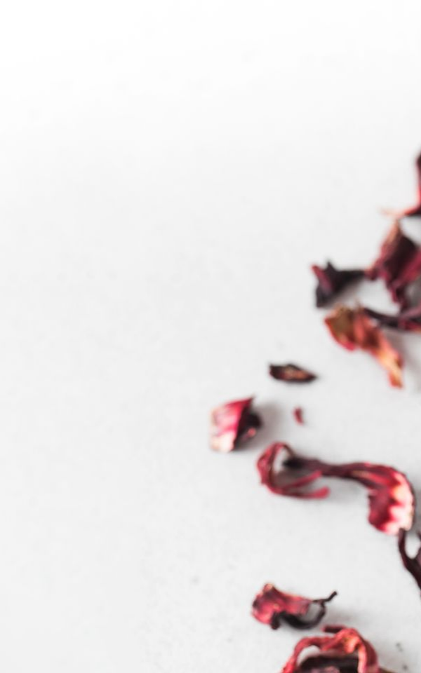 Pétales d'hibiscus séchés sur fond blanc.