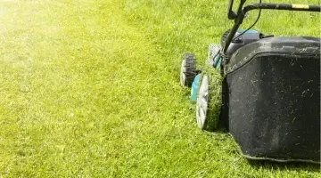 Cortadora de césped