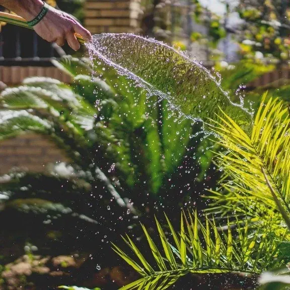 jardinero salamanca mantenimiento jardín.