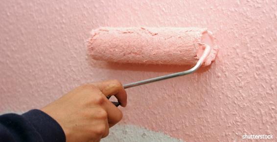 Peinture - Revêtement couleur mur