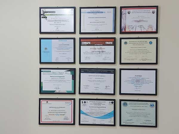 Χειρουργός Ορθοπαιδικός Μεσιακάρης Κωνσταντίνος MD, MSc στην Μυτιλήνη