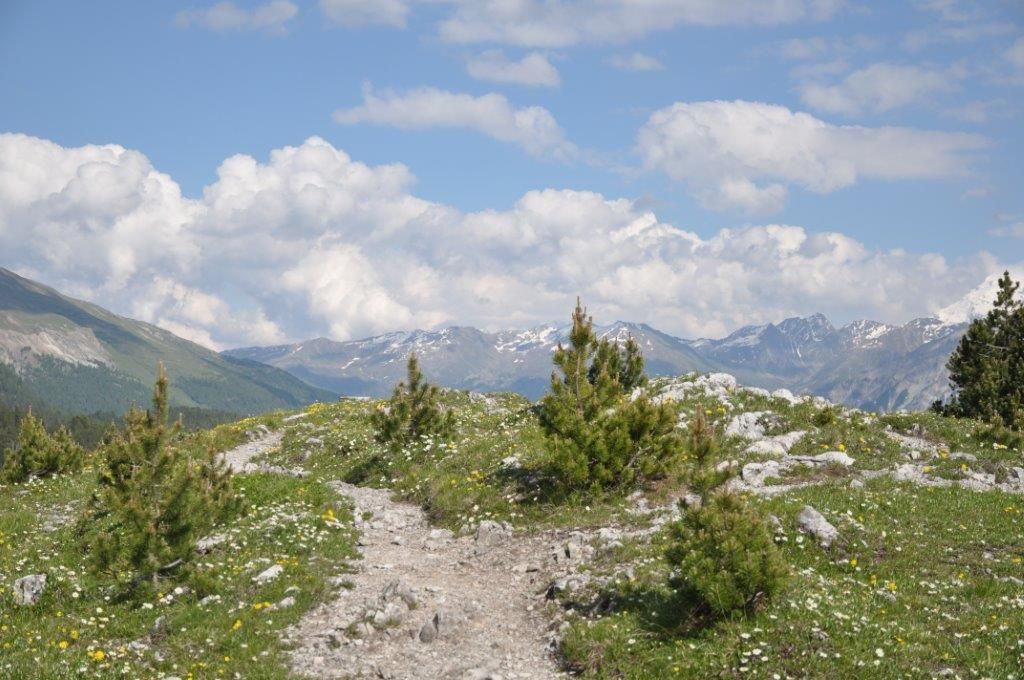 Wandern - Hotel Süsom-Givè - Tschierv