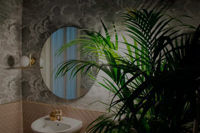 Un baño con lavabo, espejo y palmera.