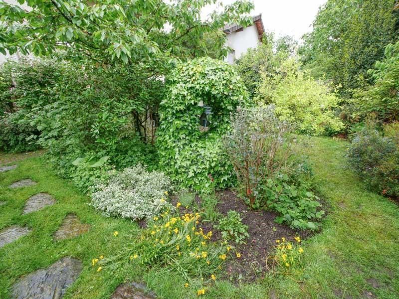 Un jardin avec des fleurs jaunes