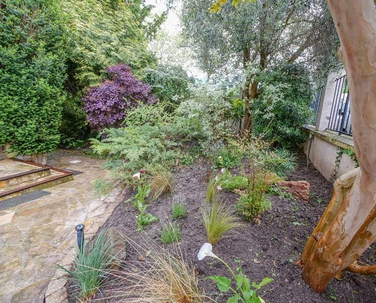 Un massif de plantes