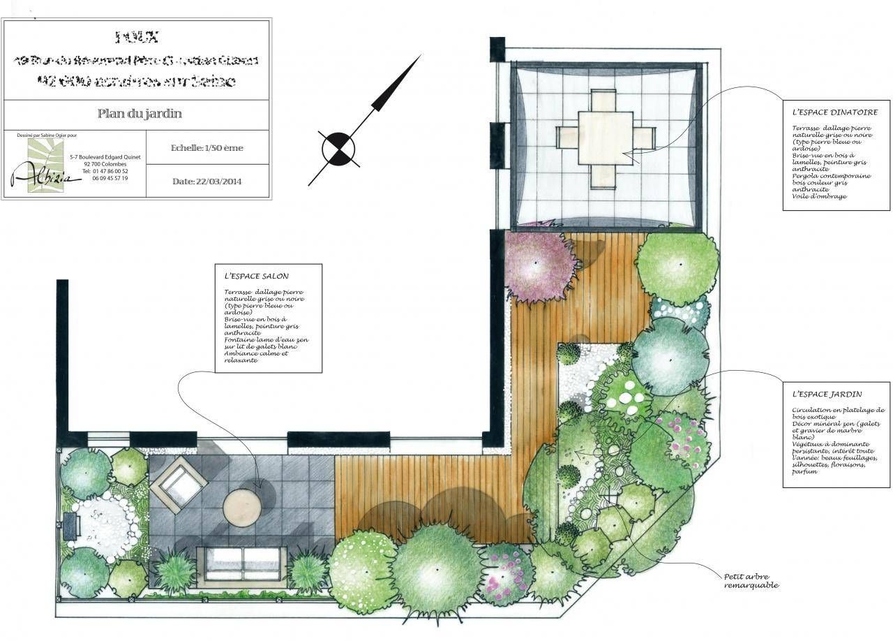 Un plan avec des arbres de différentes tailles