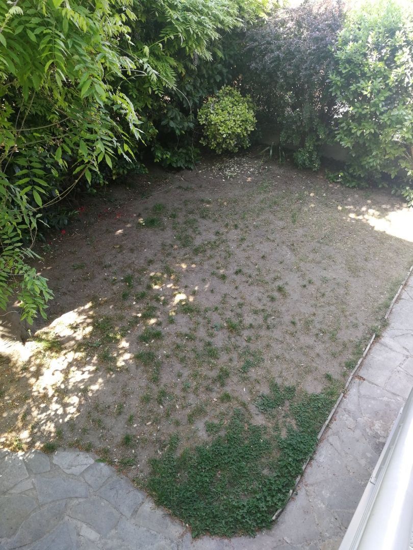 Terrasse et palissade en bois avant travaux