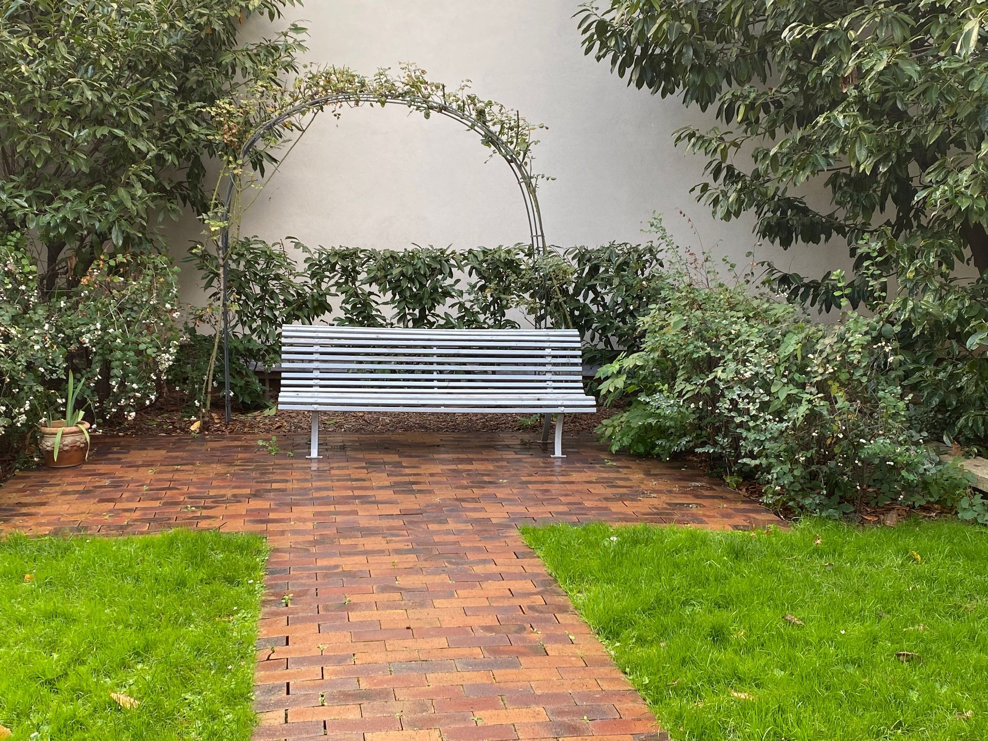 Un banc avec des plantes autour