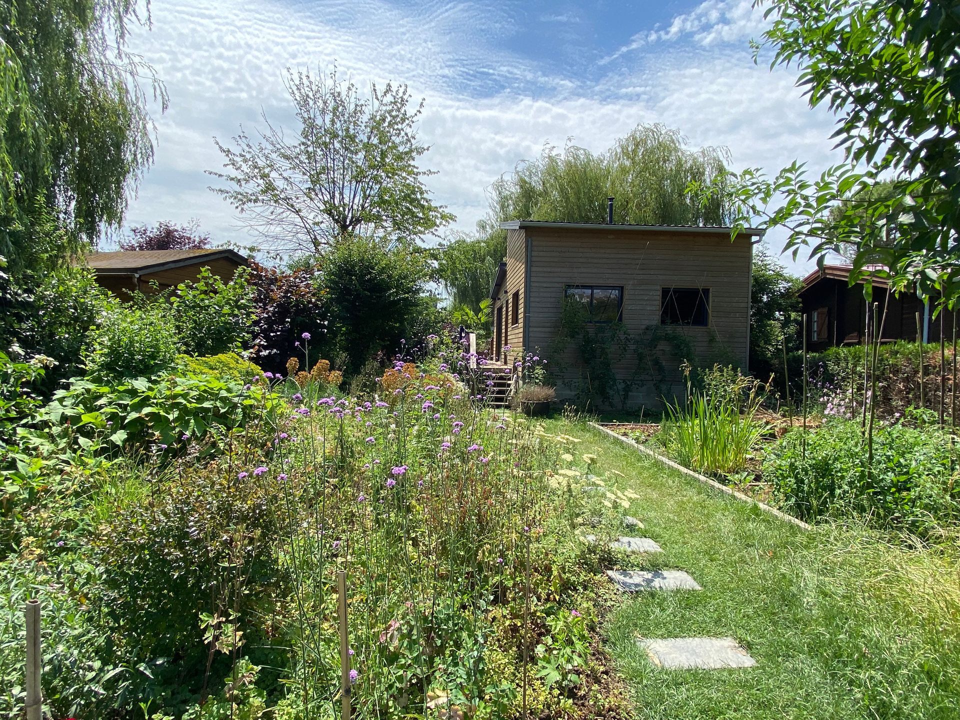 Un jardin avec un cabanon et des pas japonais